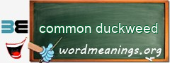 WordMeaning blackboard for common duckweed